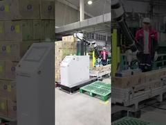Penyedia solusi robot palletisasi kolaboratif robot industri Cina
