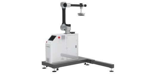 Robot Palletizing WP-20 Robot Industri Cina Dengan Penyedia Solusi 30KG
